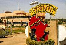 Burkina Faso : Le FESPACO se tiendra du 22 février au 1er mars 2025, la République du Tchad, pays invité d’honneur