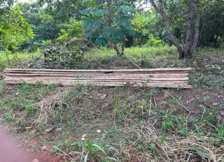 Forêt Classée de Bouaflé : UNE DISPARITION PROGRAMMÉE FACE AUX DÉGÂTS CAUSÉS PAR LES POPULATIONS ILLÉGALEMENT INSTALLÉES