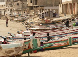 Sénégal : le capitaine d’un bateau naufragé de migrants se rend à la police
