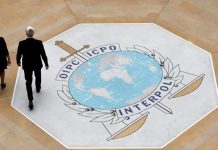 Interpol : 1 006 suspects arrêtés en Afrique pour cybercriminalité