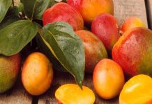 Le Maroc établit un nouveau record d’importation de mangues