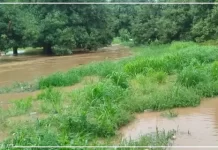 Fleuves Gambie et Sénégal : les riverains invités à maintenir les mesures préventives de la crue